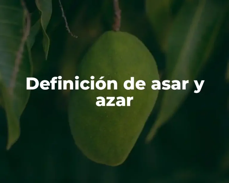Definición de asar y azar