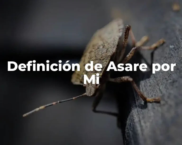 Definición de Asare por Mi