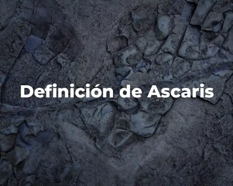 Definición de Ascaris