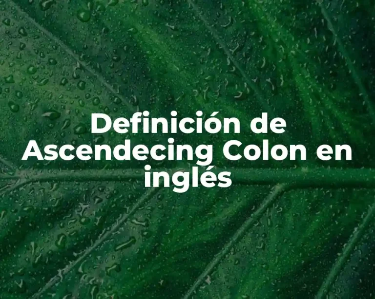 Definición de Ascendecing Colon en inglés