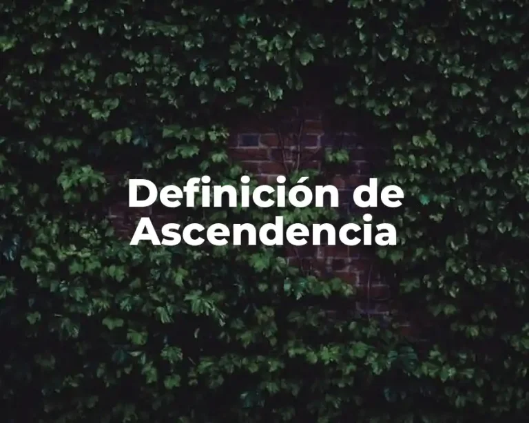 Definición de Ascendencia