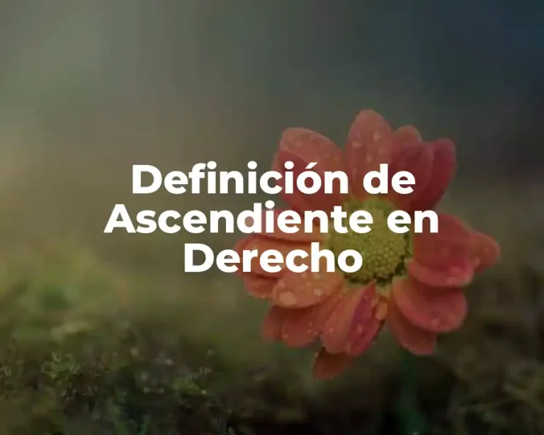 Definición de Ascendiente en Derecho