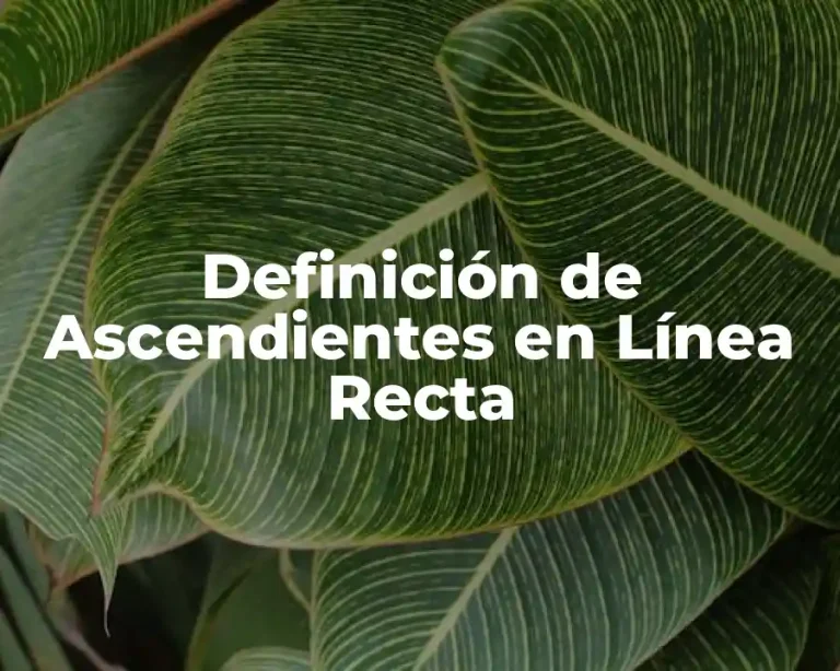 Definición de Ascendientes en Línea Recta