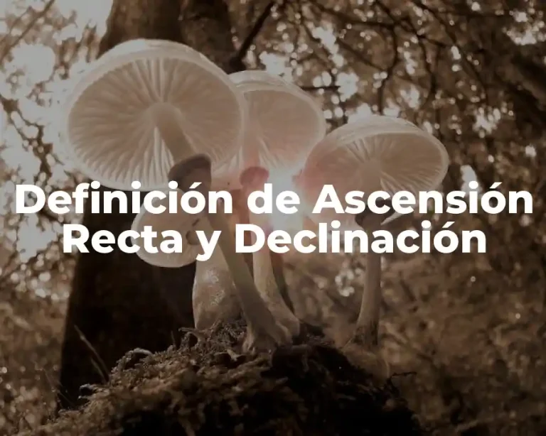 Definición de Ascensión Recta y Declinación