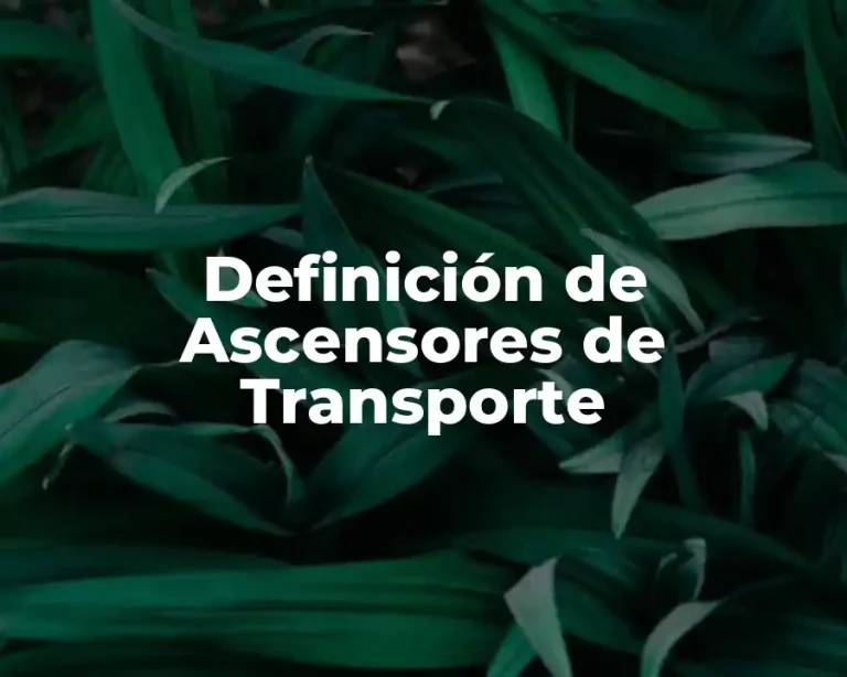 Definición de Ascensores de Transporte