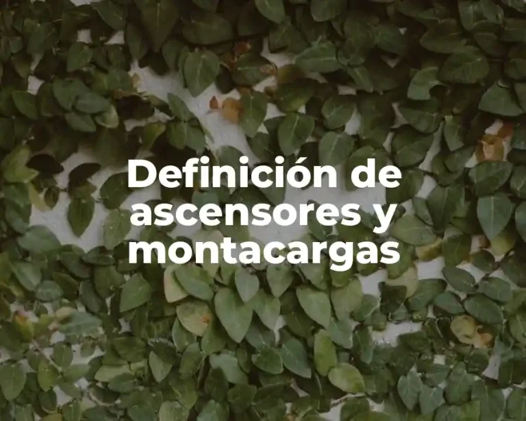 Definición de ascensores y montacargas
