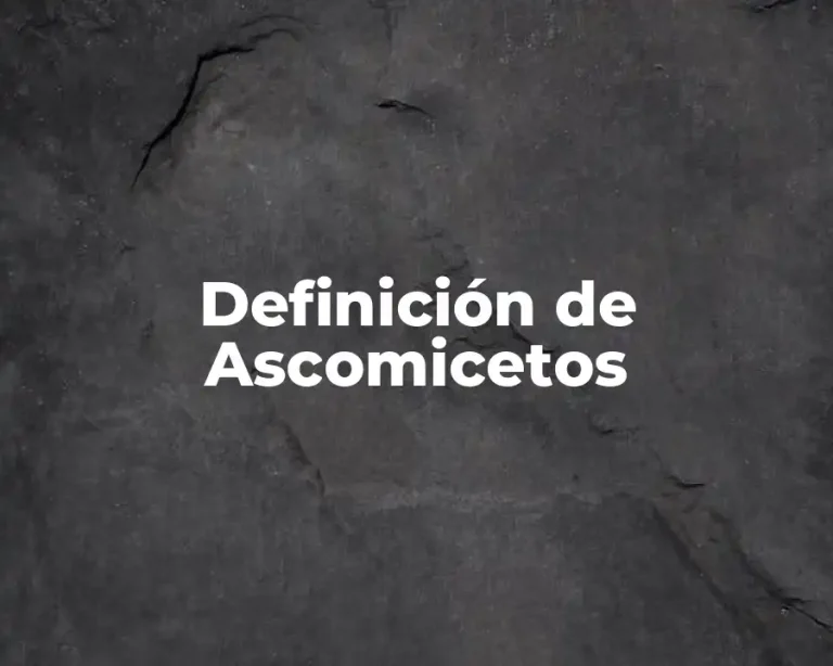 Definición de Ascomicetos