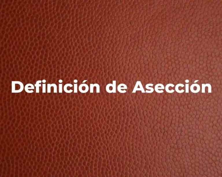 Definición de Asección