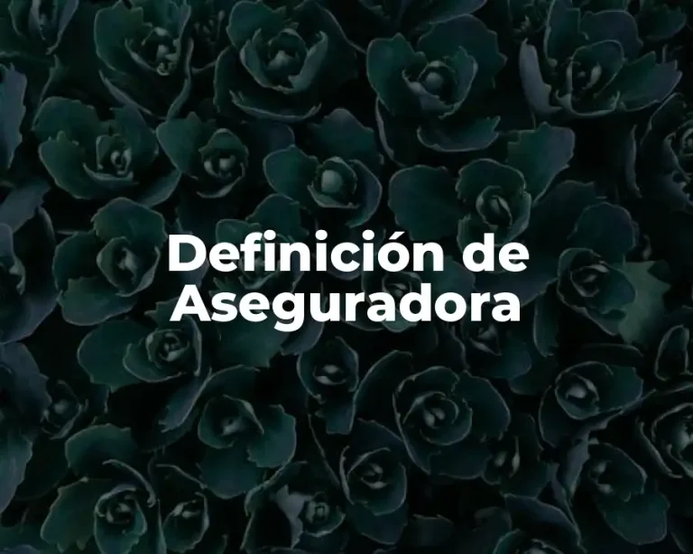 Definición de Aseguradora