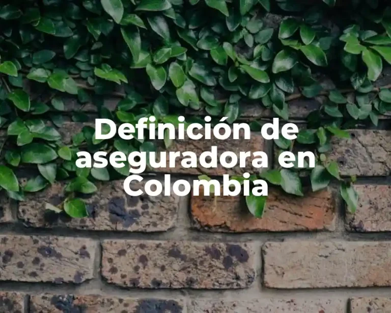 Definición de aseguradora en Colombia