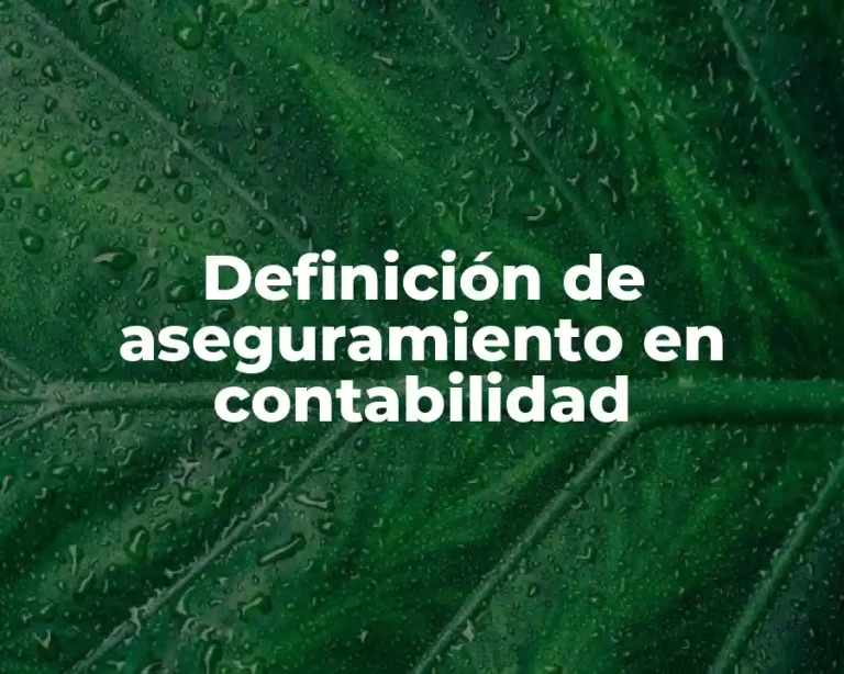 Definición de aseguramiento en contabilidad