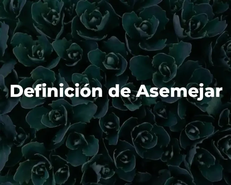 Definición de Asemejar