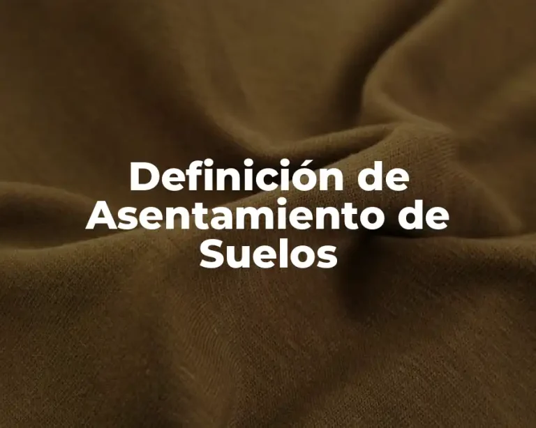 Definición de Asentamiento de Suelos