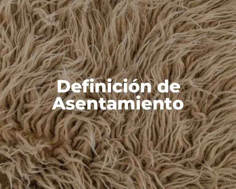 Definición de Asentamiento