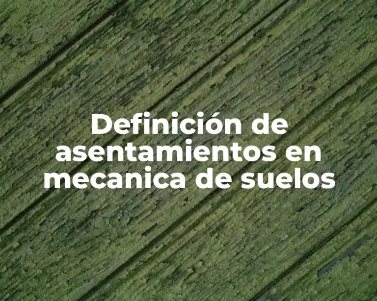 Definición de asentamientos en mecanica de suelos