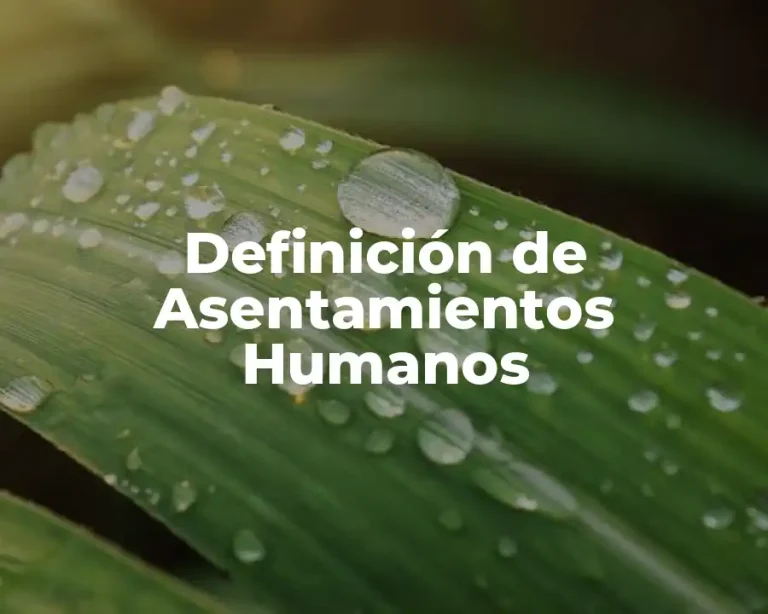Definición de Asentamientos Humanos