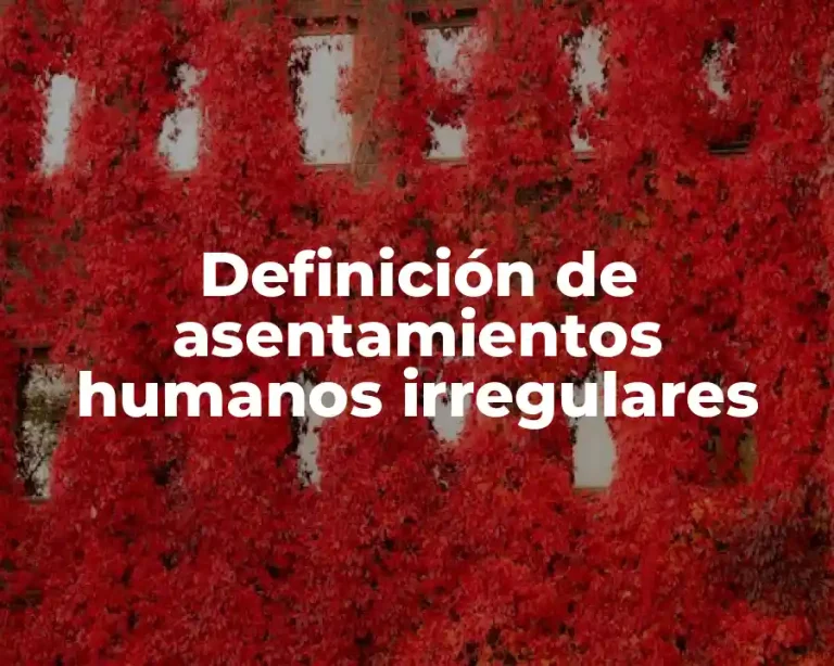 Definición de asentamientos humanos irregulares