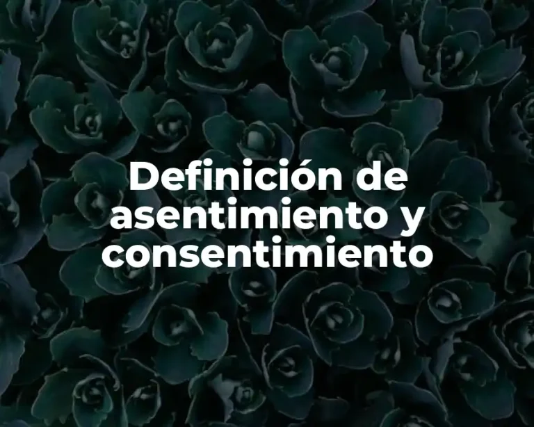 Definición de asentimiento y consentimiento