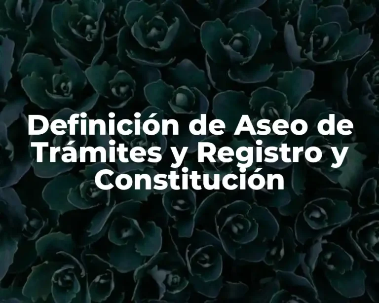 Definición de Aseo de Trámites y Registro y Constitución