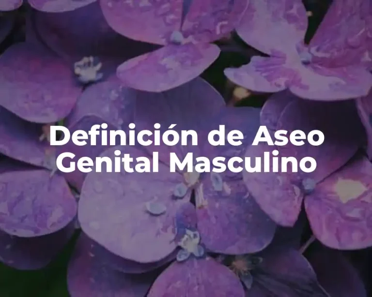 Definición de Aseo Genital Masculino