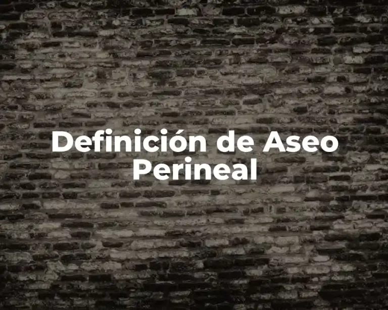 Definición de Aseo Perineal