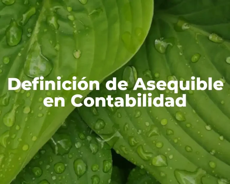 Definición de Asequible en Contabilidad
