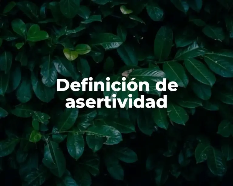 Definición de asertividad