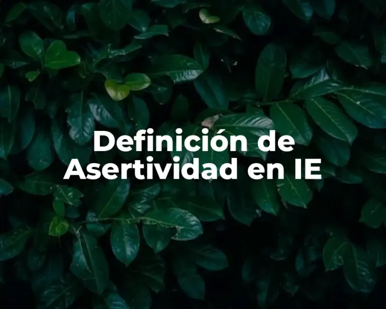 Definición de Asertividad en IE