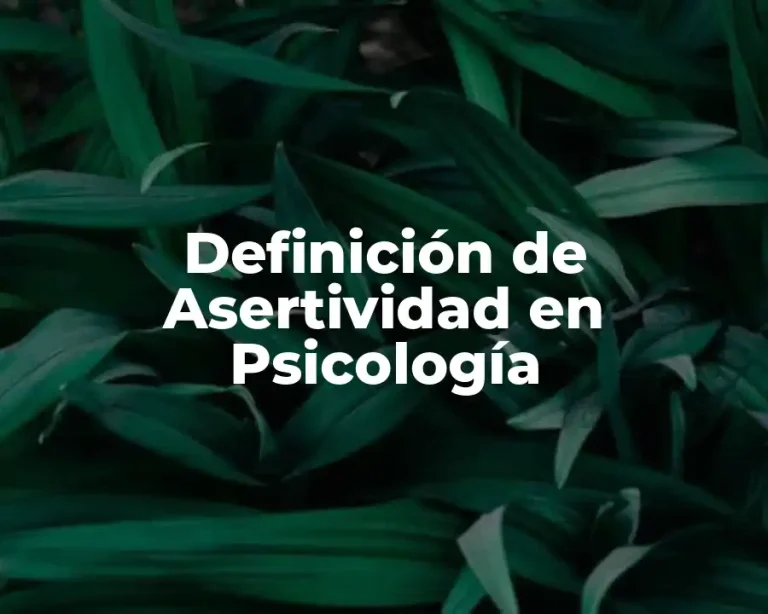Definición de Asertividad en Psicología
