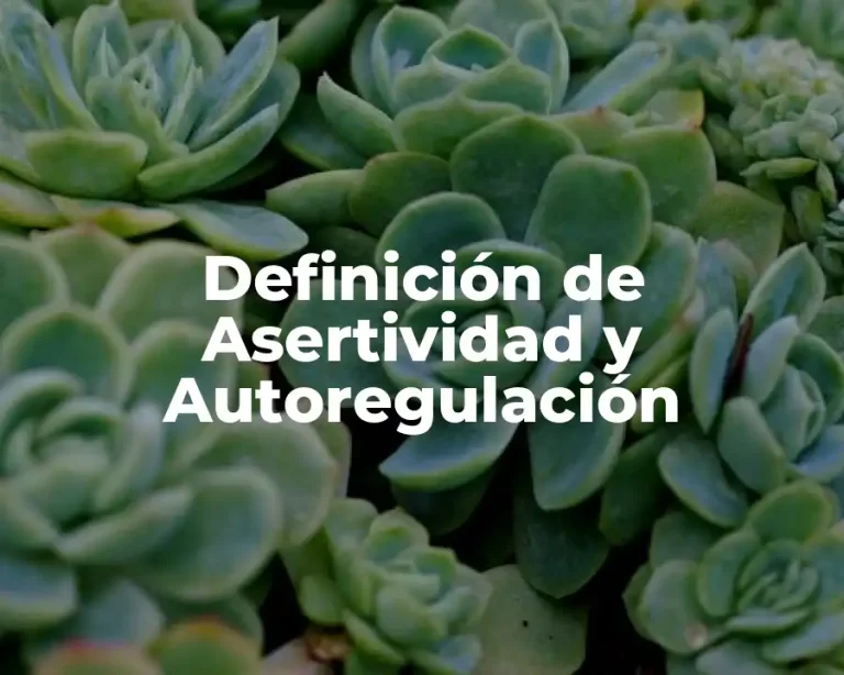Definición de Asertividad y Autoregulación