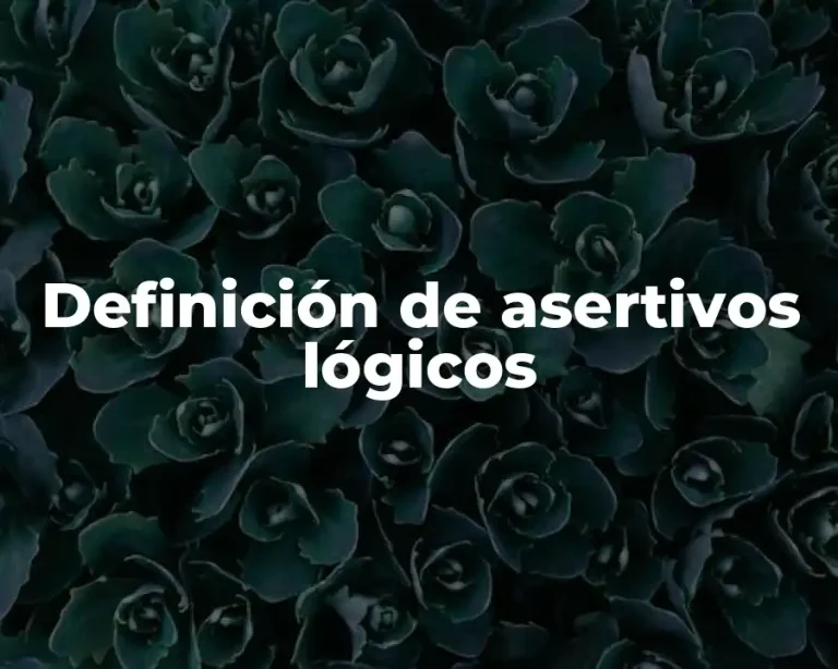 Definición de asertivos lógicos