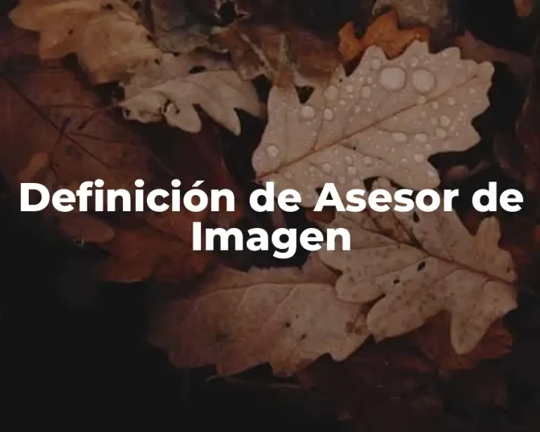 Definición de Asesor de Imagen