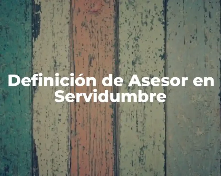 Definición de Asesor en Servidumbre