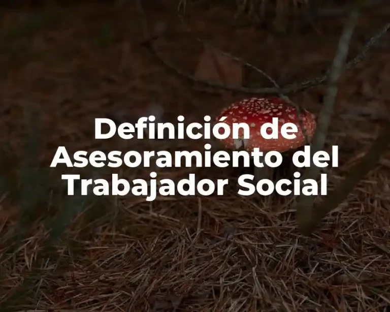 Definición de Asesoramiento del Trabajador Social