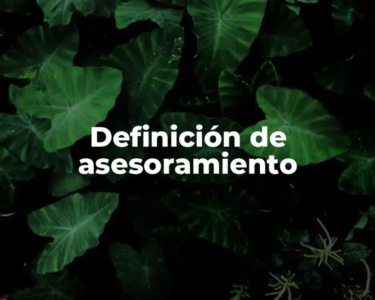 Definición de asesoramiento