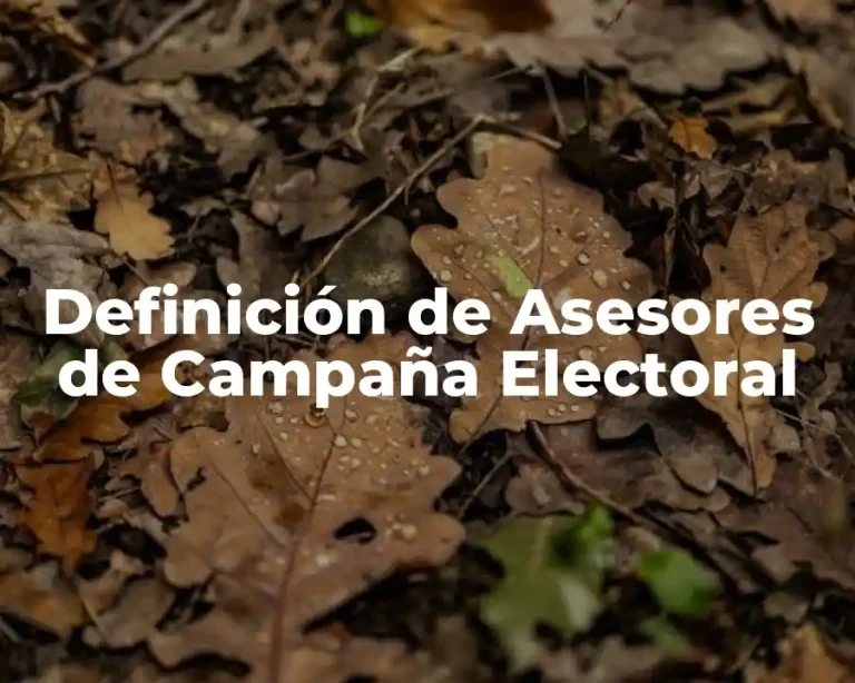 Definición de Asesores de Campaña Electoral