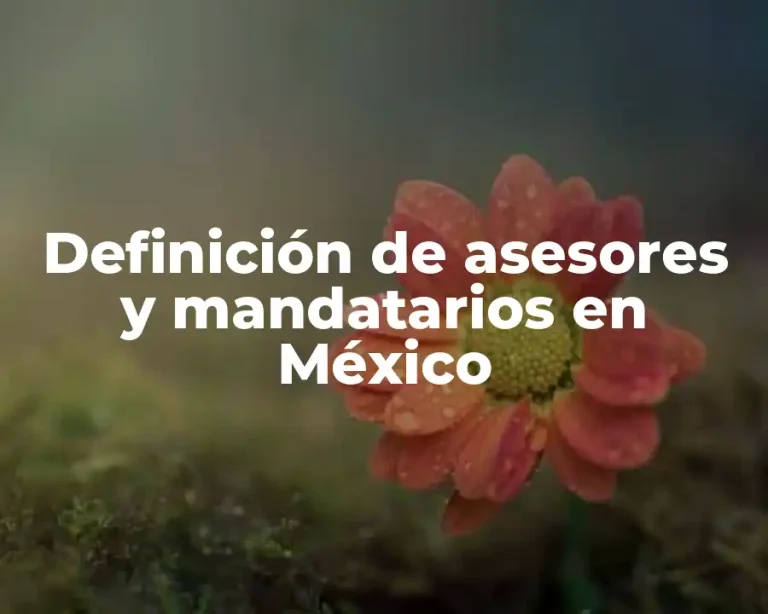 Definición de asesores y mandatarios en México