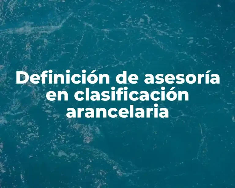 Definición de asesoría en clasificación arancelaria