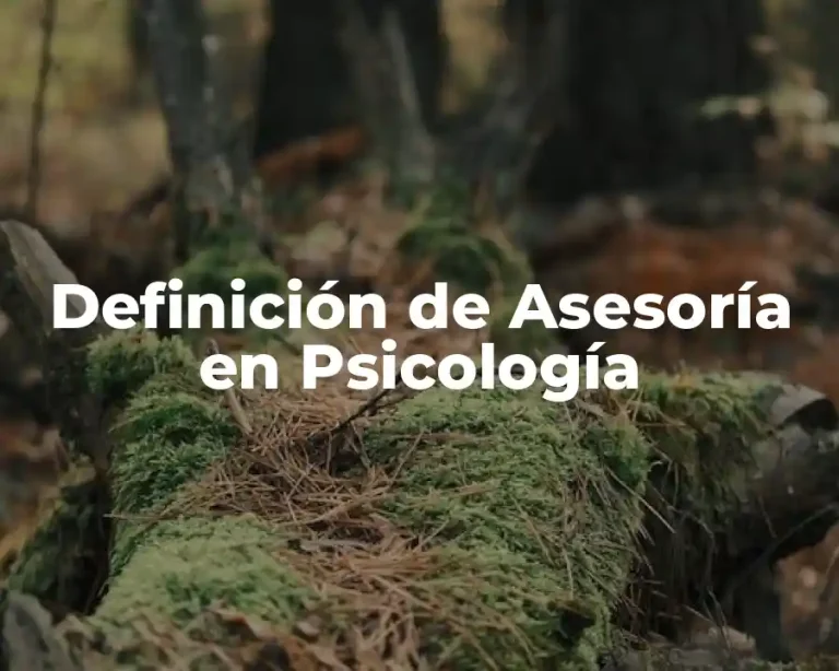 Definición de Asesoría en Psicología