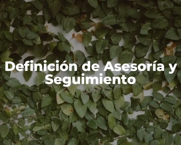 Definición de Asesoría y Seguimiento