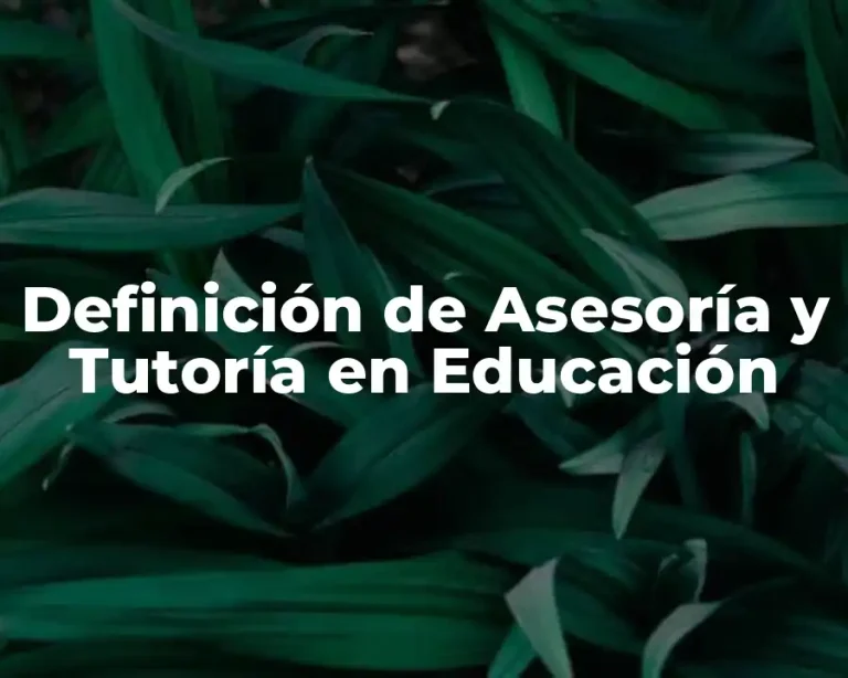 Definición de Asesoría y Tutoría en Educación
