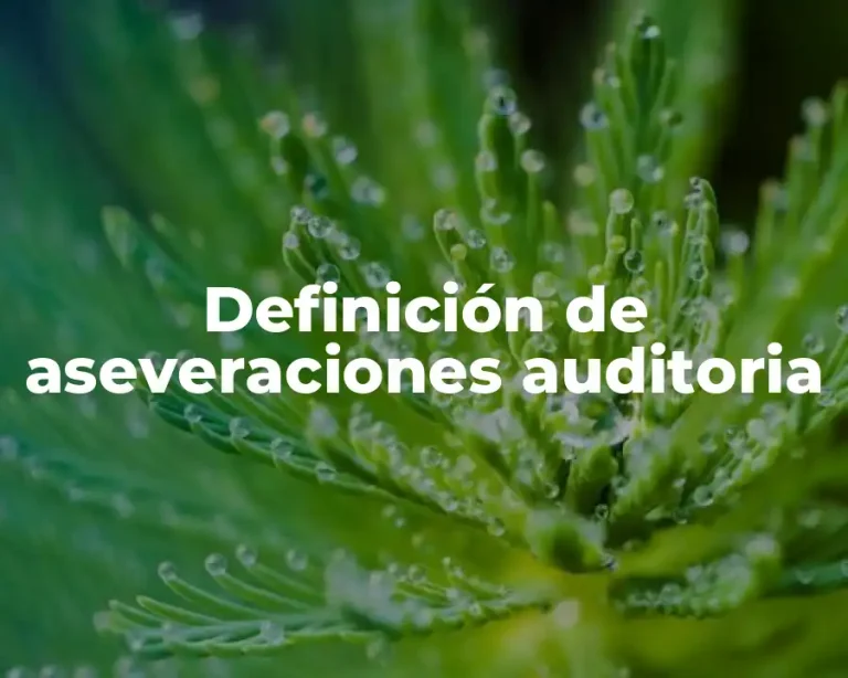 Definición de aseveraciones auditoria
