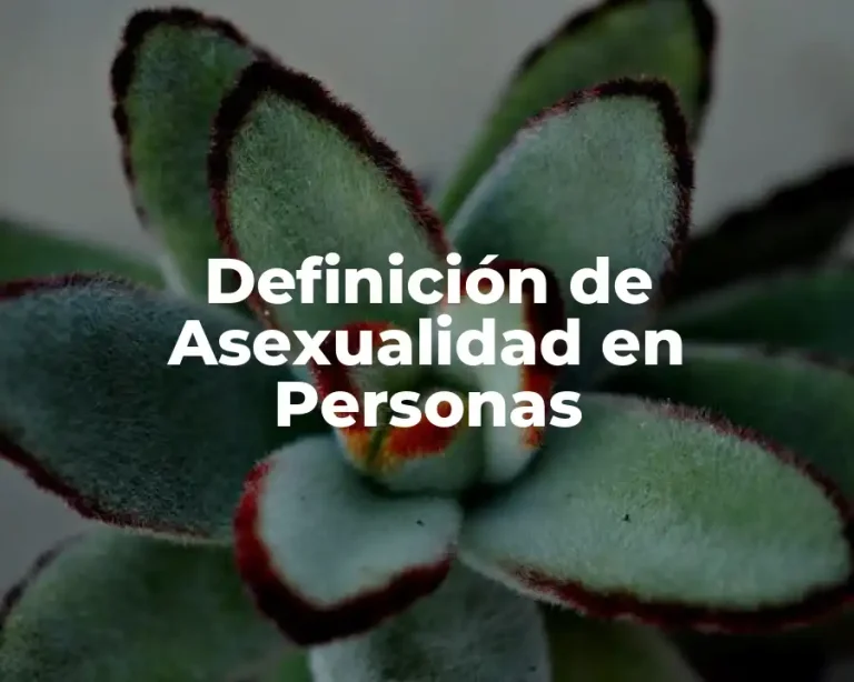 Definición de Asexualidad en Personas
