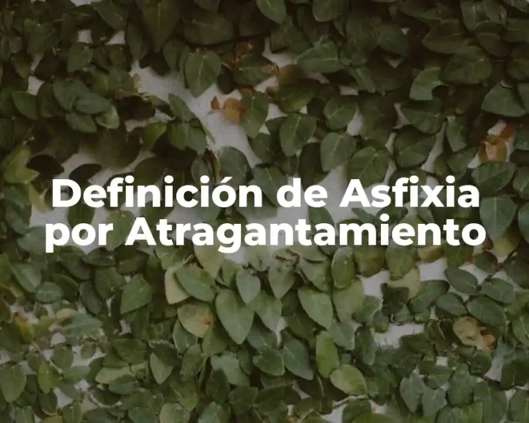 Definición de Asfixia por Atragantamiento