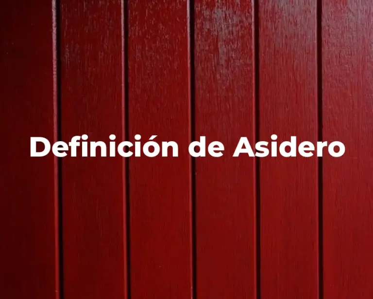 Definición de Asidero