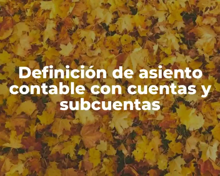 Definición de asiento contable con cuentas y subcuentas