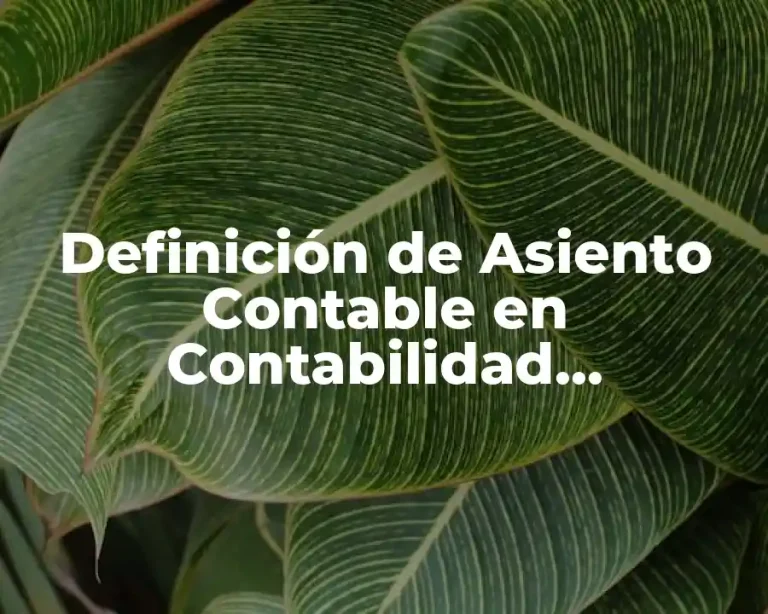 Definición de Asiento Contable en Contabilidad Representación