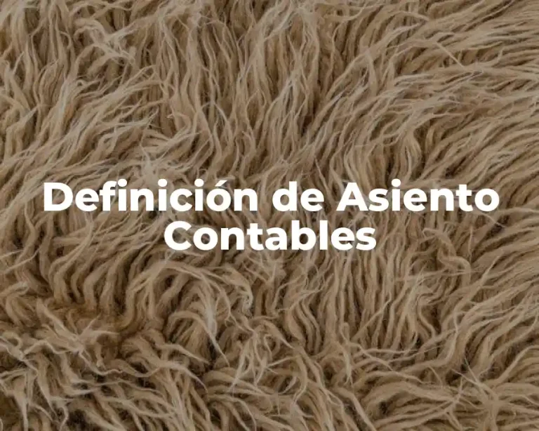 Definición de Asiento Contables