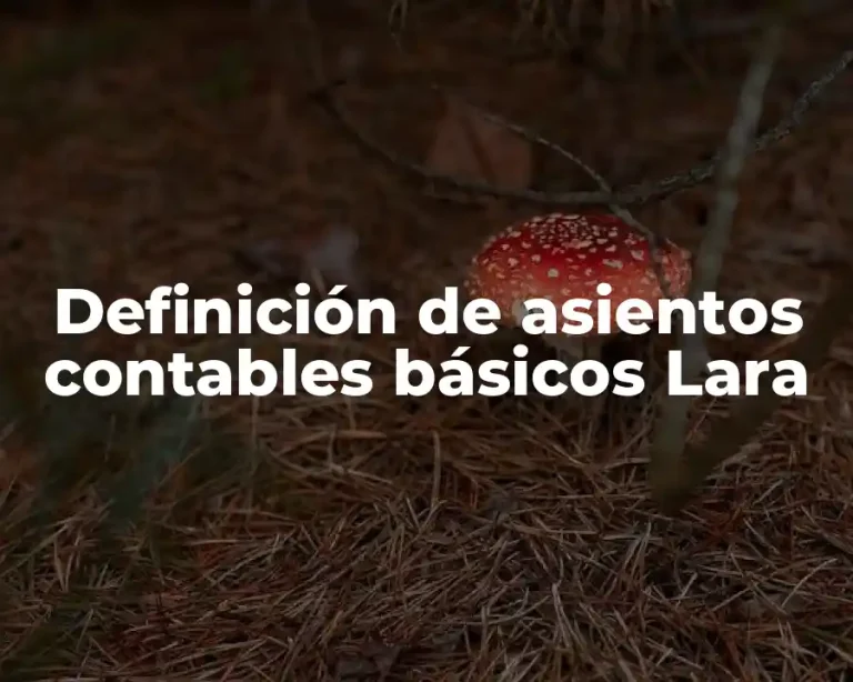 Definición de asientos contables básicos Lara