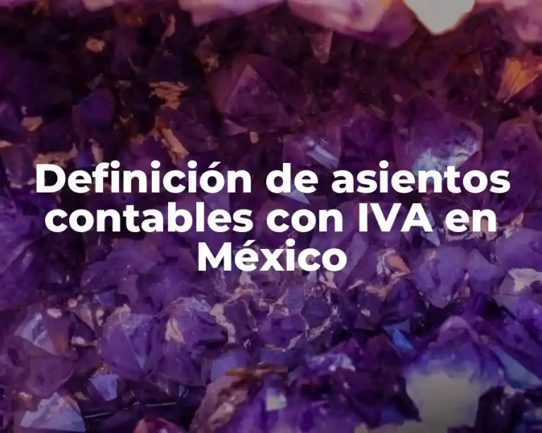 Definición de asientos contables con IVA en México